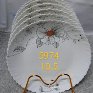 6 Pcs 5974 Ceramic Dinner Plates 10.5 inch